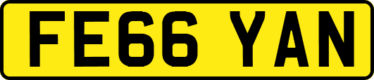 FE66YAN