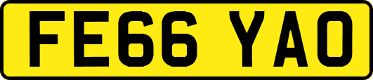 FE66YAO