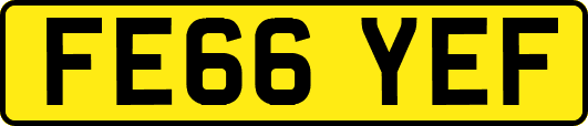 FE66YEF