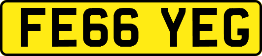 FE66YEG