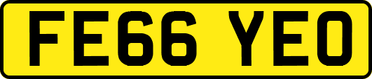 FE66YEO