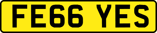 FE66YES
