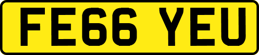 FE66YEU