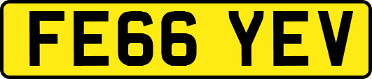 FE66YEV