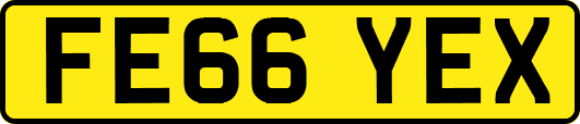 FE66YEX