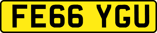 FE66YGU