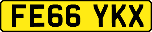 FE66YKX