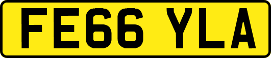 FE66YLA