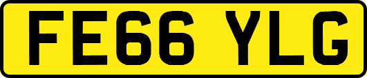 FE66YLG