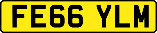 FE66YLM