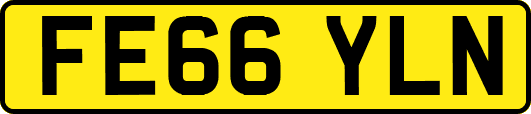 FE66YLN