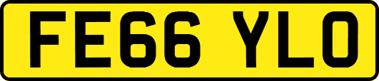 FE66YLO