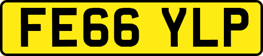FE66YLP