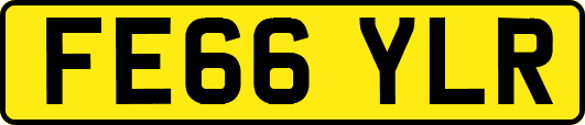 FE66YLR