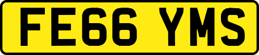 FE66YMS
