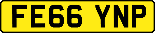 FE66YNP