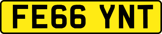 FE66YNT