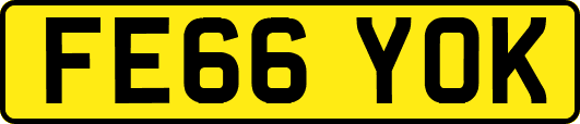 FE66YOK