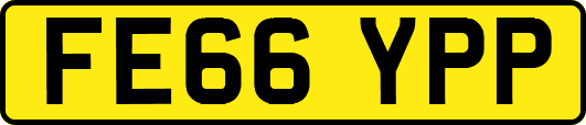 FE66YPP