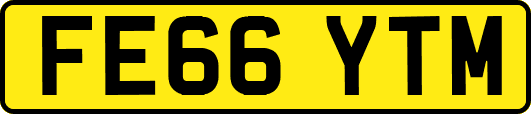 FE66YTM
