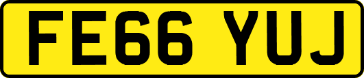 FE66YUJ