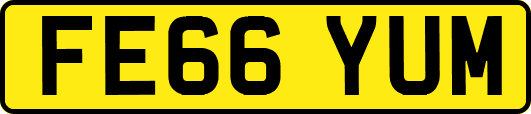 FE66YUM