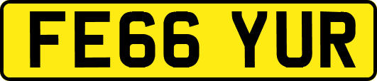 FE66YUR