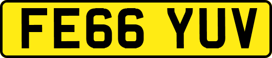 FE66YUV