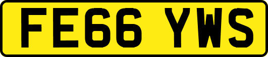 FE66YWS
