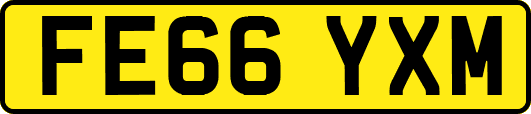 FE66YXM