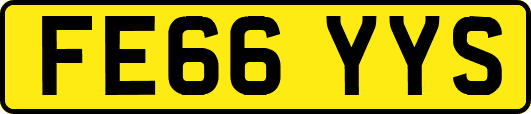 FE66YYS