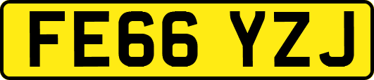 FE66YZJ