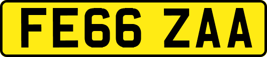 FE66ZAA
