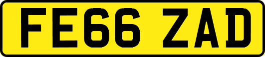 FE66ZAD