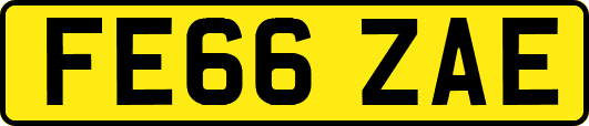 FE66ZAE
