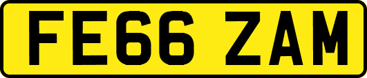 FE66ZAM