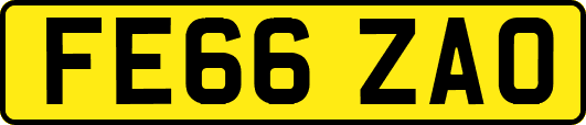 FE66ZAO
