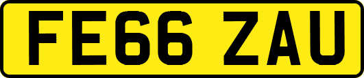 FE66ZAU