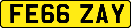 FE66ZAY