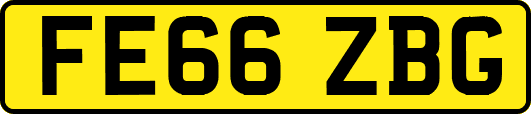 FE66ZBG