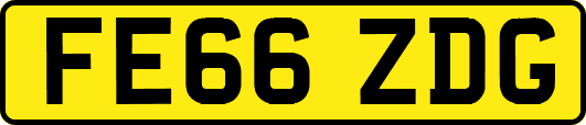 FE66ZDG