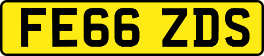 FE66ZDS