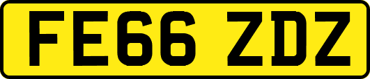 FE66ZDZ