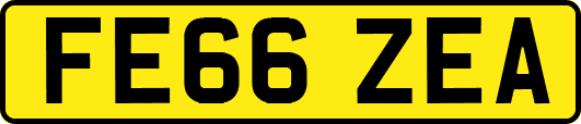 FE66ZEA