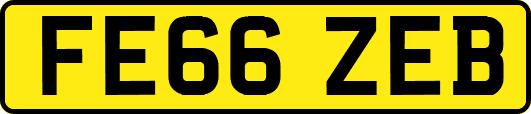 FE66ZEB