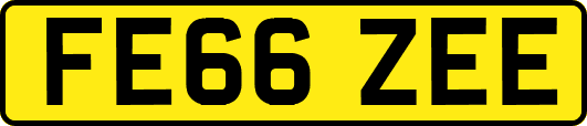 FE66ZEE
