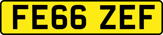 FE66ZEF