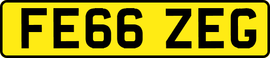 FE66ZEG