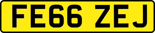 FE66ZEJ