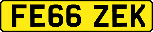 FE66ZEK